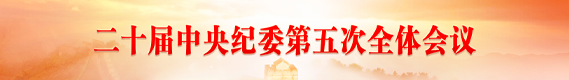 二十届中央纪委第五次全体会议